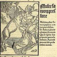 An illustration from Stultifera nauis : Narragonice p[ro]fect[i]onis nunq[uam] satis laudata nauis:
