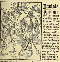 An illustration from Stultifera nauis. : narragonice p[ro]fectionis nunq[uam] satis laudata nauis: