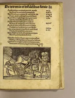 An illustration from Stultifera nauis : Narragonice p[ro]fectio[n]is nunq[uam] satis laudata nauis.