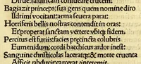 An illustration from Stultifera nauis : Narragonice p[ro]fectio[n]is nunq[uam] satis laudata nauis.
