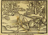 An illustration from Stultifera nauis : Narragonice p[ro]fectio[n]is nunq[uam] satis laudata nauis.