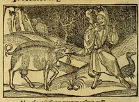 An illustration from Stultifera nauis : Narragonice p[ro]fectio[n]is nunq[uam] satis laudata nauis.