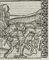 An illustration from Stultifera nauis : qua omnium mortalium narratur stultitia, admodum vtilis & necessaria ab omnibus ad suam salutem perlegenda, è latino sermone in nostrum vulgarem versa, & iam diligenter impressa = The ship of fooles : wherein is shewed the folly of all states, with diuers other workes adoiyned vnto the same, very profitable and fruitfull for all men : translated out of Latin into Englishe (1570)