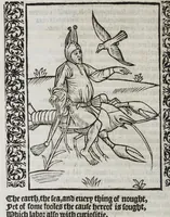 Picture 16 of 25 from Stultifera nauis : qua omnium mortalium narratur stultitia, admodum vtilis & necessaria ab omnibus ad suam salutem perlegenda, è latino sermone in nostrum vulgarem versa, & iam diligenter impressa = The ship of fooles : wherein is shewed the folly of all states, with diuers other workes adoiyned vnto the same, very profitable and fruitfull for all men : translated out of Latin into Englishe (1570), leaf 242