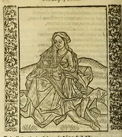 Picture 11 of 16 from Stultifera Nauis, : qua omnium mortalium narratur stultitia, admodum vtilis [et] necessaria ab omnibus ad suam salutem perlegenda, (1570), leaf 218