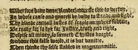 An illustration from Stultifera Nauis, : qua omnium mortalium narratur stultitia, admodum vtilis [et] necessaria ab omnibus ad suam salutem perlegenda, (1570)