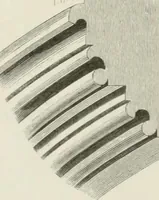 An illustration from An attempt to discriminate the styles of architecture in England : from the Conquest to the Reformation : with a sketch of the Grecian and Roman orders : notices of numerous British edifices :and some remarks on the architecture of a part of France (1848)