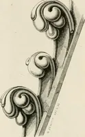 An illustration from An attempt to discriminate the styles of architecture in England : from the Conquest to the Reformation : with a sketch of the Grecian and Roman orders : notices of numerous British edifices :and some remarks on the architecture of a part of France (1848)