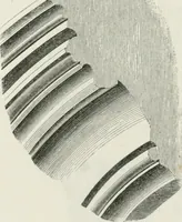 An illustration from An attempt to discriminate the styles of architecture in England : from the Conquest to the Reformation : with a sketch of the Grecian and Roman orders : notices of numerous British edifices :and some remarks on the architecture of a part of France (1848)