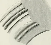 An illustration from An attempt to discriminate the styles of architecture in England : from the Conquest to the Reformation : with a sketch of the Grecian and Roman orders : notices of numerous British edifices :and some remarks on the architecture of a part of France (1848)