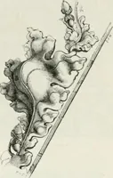 An illustration from An attempt to discriminate the styles of architecture in England : from the Conquest to the Reformation : with a sketch of the Grecian and Roman orders : notices of numerous British edifices :and some remarks on the architecture of a part of France (1848)