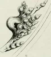 An illustration from An attempt to discriminate the styles of architecture in England : from the Conquest to the Reformation : with a sketch of the Grecian and Roman orders : notices of numerous British edifices :and some remarks on the architecture of a part of France (1848)