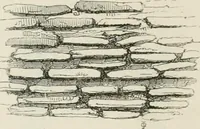 An illustration from An attempt to discriminate the styles of architecture in England : from the Conquest to the Reformation : with a sketch of the Grecian and Roman orders : notices of numerous British edifices :and some remarks on the architecture of a part of France (1848)