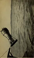 An illustration from Submarines, mines and torpedoes in the war (1914)