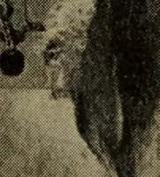 An illustration from Submarines, mines and torpedoes in the war (1914)
