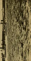 An illustration from Submarines, mines and torpedoes in the war (1914)
