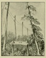 An illustration from Submarine telegraphs; their history, construction, and working. Founded in part on Wèunschendorff's 'Traitâe de tâelegraphie sous-marine' and compiled from authoritative and exclusive sources (1898)