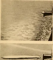 Picture 30 of 44 from Submarine warfare, past, present and future (1902), leaf 258