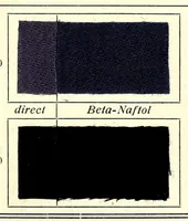 An illustration from Substantive Farbstoffe auf Baumwoll-Stückware. Band II : Entwicklungs- und Nachbehandlungs-Farbstoffe = Substantive colours on cotton piece goods. Volume II : dyestuffs for developing and for after-treatment (1920)