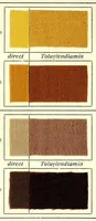 An illustration from Substantive Farbstoffe auf Baumwoll-Stückware. Band II : Entwicklungs- und Nachbehandlungs-Farbstoffe = Substantive colours on cotton piece goods. Volume II : dyestuffs for developing and for after-treatment (1920)