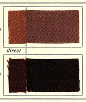An illustration from Substantive Farbstoffe auf Baumwoll-Stückware. Band II : Entwicklungs- und Nachbehandlungs-Farbstoffe = Substantive colours on cotton piece goods. Volume II : dyestuffs for developing and for after-treatment (1920)