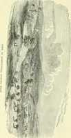 An illustration from Suburban homes for city business men. A description of the country, with a statement of the inducements offered on the life of the Erie railway (1867)