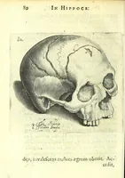Picture 19 of 43 from Succenturiatus anatomicus : continens commentaria in Hippocratem : De capitis vulneribus : (1616), leaf 116