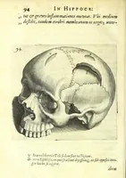 Picture 21 of 43 from Succenturiatus anatomicus : continens commentaria in Hippocratem : De capitis vulneribus : (1616), leaf 130