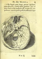 Picture 34 of 43 from Succenturiatus anatomicus : continens commentaria in Hippocratem : De capitis vulneribus : (1616), leaf 319
