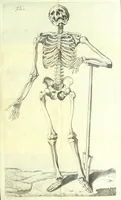 An illustration from Succenturiatus anatomicus : continens commentaria in Hippocratem : De capitis vulneribus : (1616)