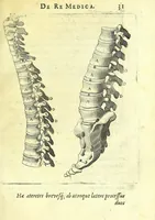 Picture 37 of 43 from Succenturiatus anatomicus : continens commentaria in Hippocratem : De capitis vulneribus : (1616), leaf 337