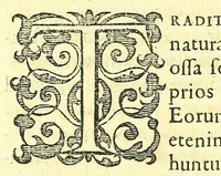 An illustration from Succenturiatus anatomicus : continens commentaria in Hippocratem : De capitis vulneribus : (1616)