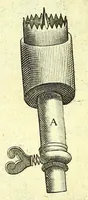 Picture 41 of 43 from Succenturiatus anatomicus : continens commentaria in Hippocratem : De capitis vulneribus : (1616), leaf 389