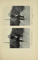 An illustration from Success at golf (1914)