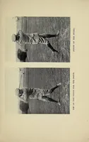 An illustration from Success at golf (1914)