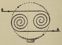 An illustration from Successful entertainments (1907)