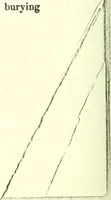 An illustration from Suffolk deeds (1653)