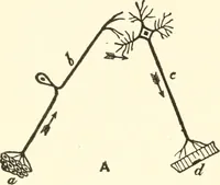 An illustration from Suggestion and psychotherapy (1912)