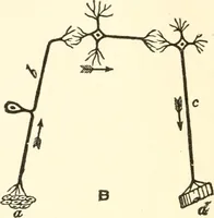An illustration from Suggestion and psychotherapy (1912)