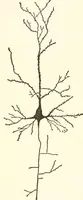 An illustration from Suggestion and psychotherapy (1912)