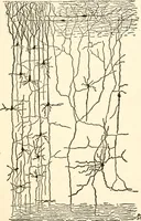 An illustration from Suggestion and psychotherapy (1912)