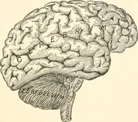 An illustration from Suggestion and psychotherapy (1912)