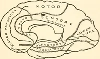 An illustration from Suggestion and psychotherapy (1912)