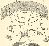 An illustration from Suggestion and psychotherapy (1912)
