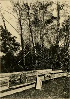 An illustration from Suggestions for beautifying home, village and roadway (1900)