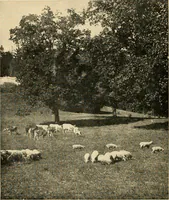 An illustration from Suggestions for beautifying home, village and roadway (1900)