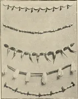 Picture 60 of 100 from Suggestions for handwork in school and home (1911), leaf 134