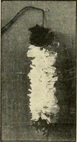Picture 99 of 100 from Suggestions for handwork in school and home (1911), leaf 217