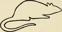An illustration from Suggestions for handwork in school and home (1911)