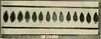 An illustration from Suggestions for handwork in school and home (1911)